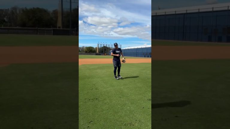 Mastering the Diamond: The Art of Putting in the Work for Baseball